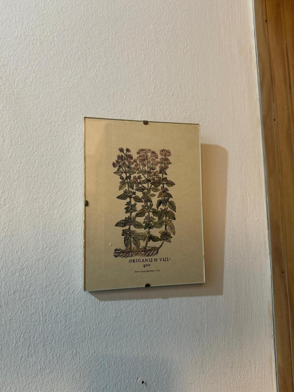 Apartament Casa Palacio 1890. *
